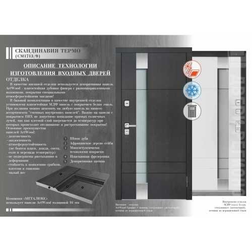 Дверь входная уличная Скандинавия, цвет графит патина, панель - скандинавия цвет белая эмаль